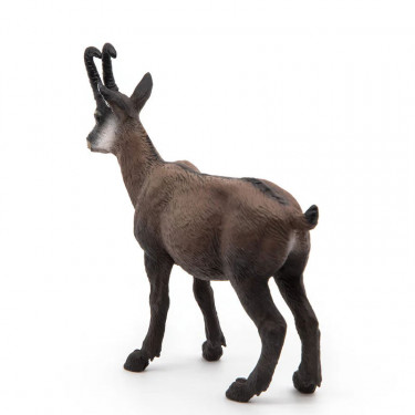 Chamois PAPO 53017