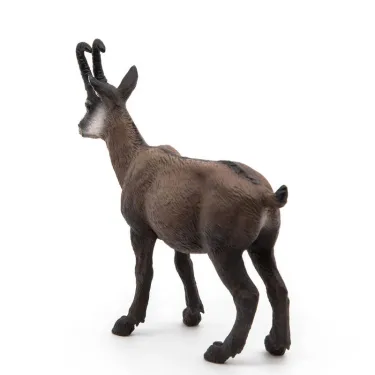 Chamois PAPO 53017