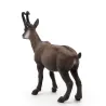 Chamois PAPO 53017