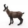 Chamois PAPO 53017