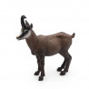 Chamois PAPO 53017
