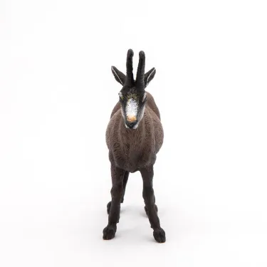 Chamois PAPO 53017