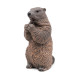 Marmotte PAPO 50128