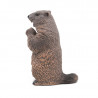 Marmotte PAPO 50128