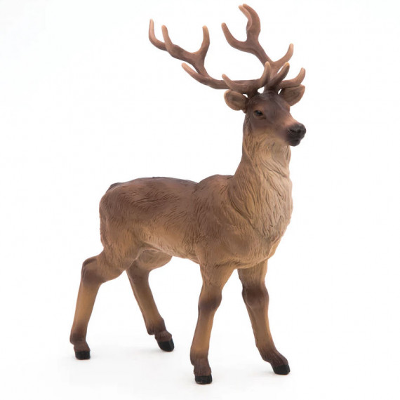 Cerf PAPO 53008