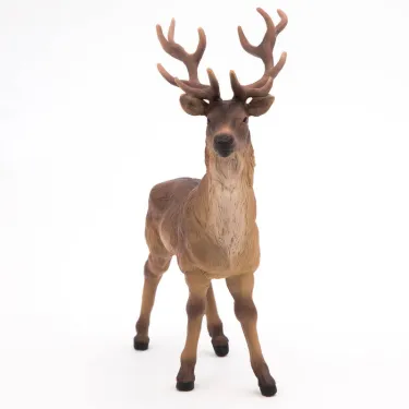 Cerf PAPO 53008