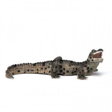 Bébé crocodile PAPO 50137
