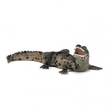 Bébé crocodile PAPO 50137
