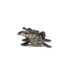 Bébé crocodile PAPO 50137