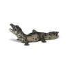 Bébé crocodile PAPO 50137