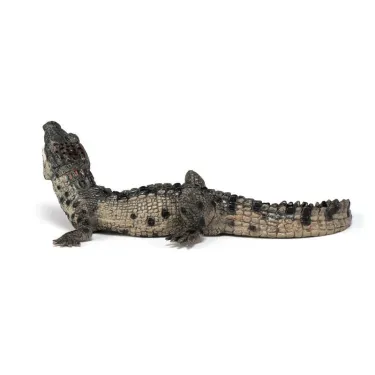 Bébé crocodile PAPO 50137