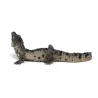 Bébé crocodile PAPO 50137