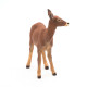 Biche PAPO 53014