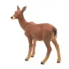 Biche PAPO 53014