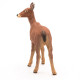Biche PAPO 53014