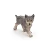 Bébé loup PAPO 50162