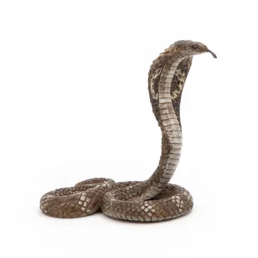 Cobra royal PAPO 50164