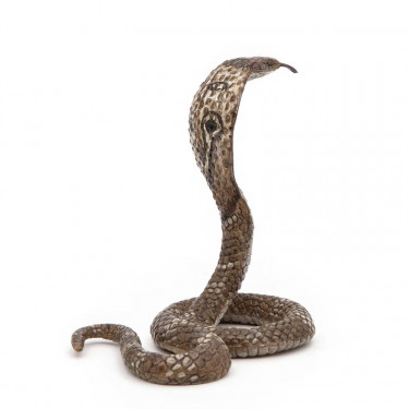 Cobra royal PAPO 50164