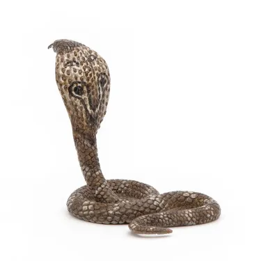 Cobra royal PAPO 50164