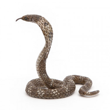 Cobra royal PAPO 50164