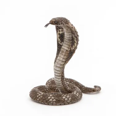 Cobra royal PAPO 50164