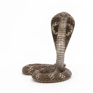 Cobra royal PAPO 50164