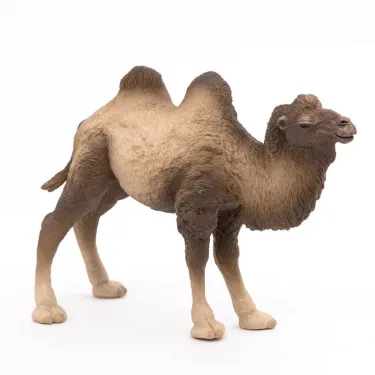 Chameau de Bactriane PAPO 50129