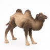 Chameau de Bactriane PAPO 50129