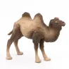Chameau de Bactriane PAPO 50129