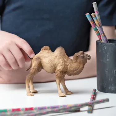 Chameau de Bactriane PAPO 50129