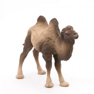 Chameau de Bactriane PAPO 50129