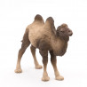 Chameau de Bactriane PAPO 50129