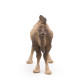 Chameau de Bactriane PAPO 50129