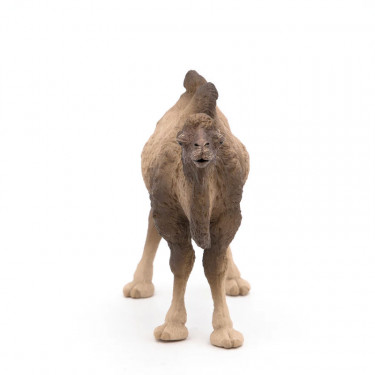 Chameau de Bactriane PAPO 50129