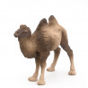 Chameau de Bactriane PAPO 50129