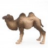 Chameau de Bactriane PAPO 50129
