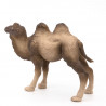 Chameau de Bactriane PAPO 50129