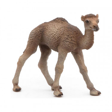 Bébé dromadaire PAPO 50166