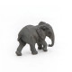 Jeune éléphant d'Afrique PAPO 50169