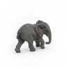Jeune éléphant d'Afrique PAPO 50169