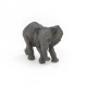 Jeune éléphant d'Afrique PAPO 50169