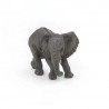 Jeune éléphant d'Afrique PAPO 50169