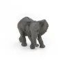 Jeune éléphant d'Afrique PAPO 50169