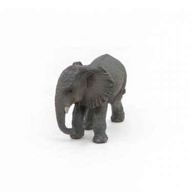 Jeune éléphant d'Afrique PAPO 50169