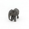 Jeune éléphant d'Afrique PAPO 50169