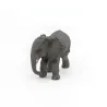 Jeune éléphant d'Afrique PAPO 50169