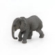 Jeune éléphant d'Afrique PAPO 50169