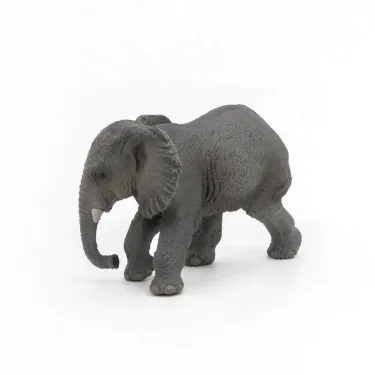 Jeune éléphant d'Afrique PAPO 50169