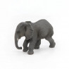 Jeune éléphant d'Afrique PAPO 50169