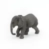 Jeune éléphant d'Afrique PAPO 50169